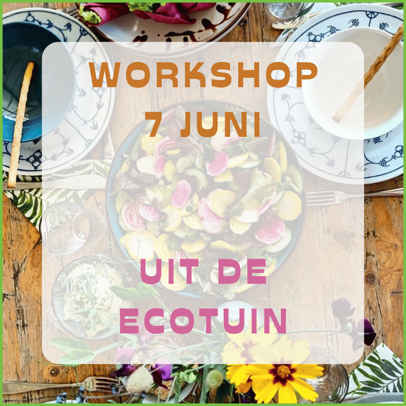 7 juni: workshop 'Uit de ecotuin'